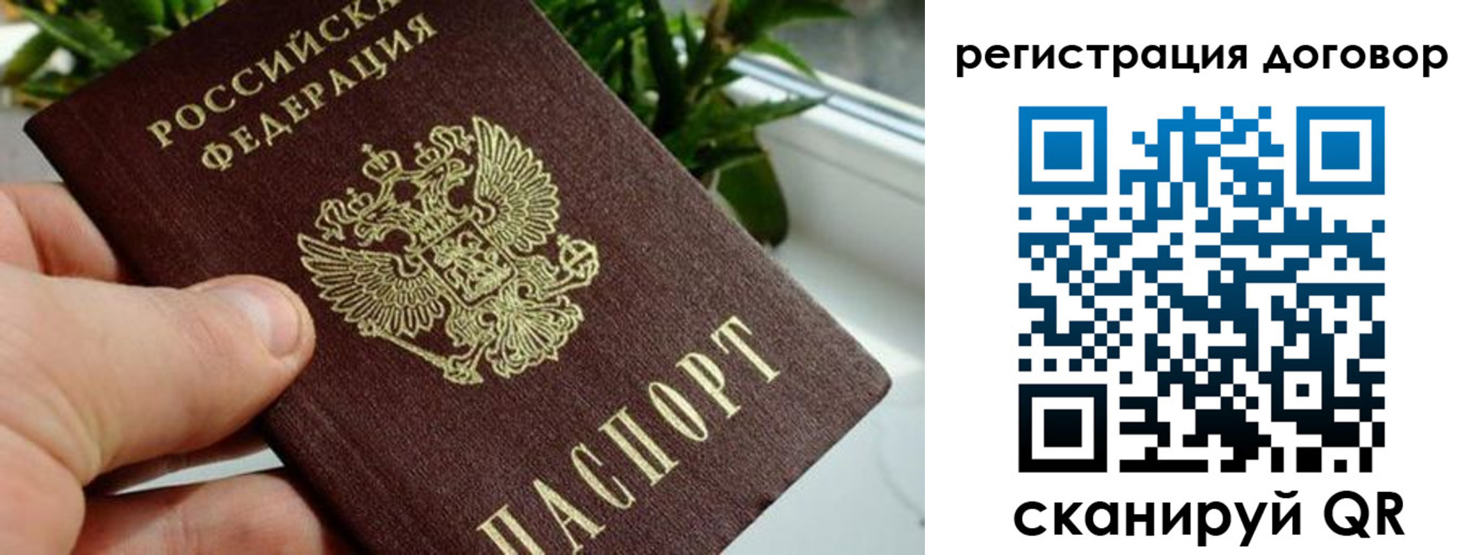 прописка ребенка в Звенигороде